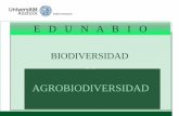 E D U N A B I O · 26.03.2014 © 2009 UNIVERSITÄT ROSTOCK | AGRAR- UND UMWELTWISSENSCHAFTLICHE FAKULTÄT 3 •DAAD call Biodiversity •Submission of 27 project proposals - Selection