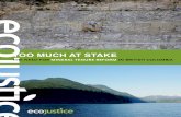 Too Much aT STake - Ecojustice...Too MuCh aT sTaKe The Need for Mineral Tenure Reform In B.C. June 2010 Written by Ecojustice staff lawyer Judah Harrison, with the assistance of Keith