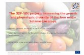 The G2P-SOL project: harnessing the genetic and phenotypic ...Giovanni Giuliano, on behalf of the G2P-SOL consortium Italian National Agency for New technologies, Energy and Sustainable