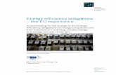 Energy efficiency obligations – the EU experience · Energy efficiency obligations – the EU experience eceee briefing for DG Energy on EU energy efficiency obligations on energy