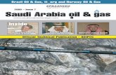 revista arabia 07 3saudiarabiaoilandgas.com/pdfmags/saog7.pdf · Carbonate reservoirs are individual at every level. From microscopic fissures to kilometer-long fracture corridors,