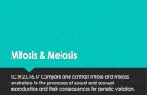 Mitosis & Meiosis - Weeblybiologywithmsgeorge.weebly.com/.../2/2/4/3/22439118/mitosis___me… · Mitosis & Meiosis SC.912.L.16.17 Compare and contrast mitosis and meiosis and relate