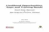 Livelihood Opportunities, Gaps and Training Needsthemimu.info/sites/themimu.info/files/documents/Report... · 2016-08-12 · 1 Livelihood Opportunities, Gaps and Training Needs Kayah