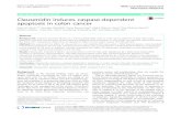 Clausenidin induces caspase-dependent apoptosis in colon ... · RESEARCH ARTICLE Open Access Clausenidin induces caspase-dependent apoptosis in colon cancer Peter M. Waziri1,2*, Rasedee
