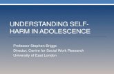 UNDERSTANDING SELF- HARM IN ADOLESCENCE The relationship between self-harm and suicide â€¢Self-harm