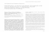 Identification of Novel Candidate Oncogenes and Tumor ...rheinwaldlab.bwh.harvard.edu/pdf/Gordon 2005 Am J...data were confirmed using quantitative reverse tran-scriptase-polymerase