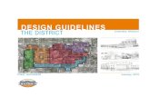 design guidelines - discoverthedistrict.com · environment and by making downtown Columbia a more desirable place to live, work and play. administering the Guidelines The guidelines