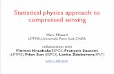 Statistical physics approach to compressed sensingpeople.csail.mit.edu/andyd/CIOG_slides/mezard_talk_ciog2011.pdf · Statistical physics approach to compressed sensing Marc Mézard