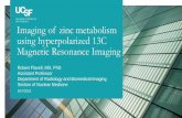 Imaging of zinc metabolism using hyperpolarized …Project hypothesis –Image zinc with HP MRI Administer hyperpolarized probe with 13C nucleus which is sensitive to the presence