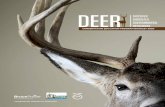 DEER - Bruce Power€¦ · Grade 7 Geography Physical Patterns in a Changing World Grade 8 Sci. & Tech. Water Systems Grade 9 Geography Issues in Canadian Geography Grade 9 Science