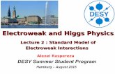 Electroweak and Higgs Physics - DESY · Building unified gauge theory of electromagnetic and weak interactions ⇒ model should incorporate three generation of matter particles (fermion