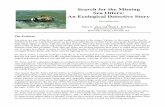 Search for the Missing Sea Otters: An Ecological Detective ... "Sea otters and kelp forests in Alaska: