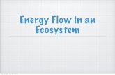 Energy Flow in an Ecosystem · Energy Pyramids The movement of energy through an ecosystem can be summarized by an energy pyramid. Since we lose energy at each trophic level, each