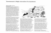 Tennessee's High-elevation Ecosystems · 2015-03-13 · What are High-elevation Ecosystems? Between the heights of4,400feet in the Great Smoky Mountains National Park in Tennessee