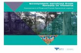 Ecosystem services from forests in Victoria - Environment€¦ · An ecosystem accounting framework consistent with the United Nations System of Environmental-Economic Accounting