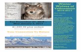 Yellowstone Packet 2016 - YC2N€¦ · collection of geysers, hot springs, fumaroles, vents, and of course, the most popular of them all…Old Faithful Geyser. Another popular sight