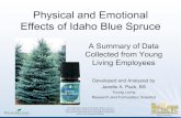 Physical and Emotional Effects of Idaho Blue Spruce...Libido Libido Sexual Stamina Sexual Stamina Sexual Stamina ... Physical Energy Physical Energy Physical Energy Physical Energy