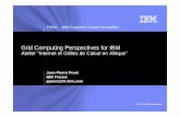 Grid Computing Perspectives for IBM · • World Community Grid • Decrypthon • Cloud Computing and Blue Cloud ... How Grid Exploits Service Oriented Architecture Application components