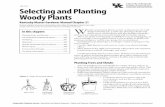 HO-107 Selecting and Planting Woody Plants · There are many woody plants available for use in landscaping, so select carefully. Choose plants based on their ability to fulfill your