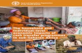 The household- and individual-level economic impacts of ... · Zimbabwe: Silvio Daidone (Lead Researcher), Benjamin Davis, Joshua Dewbre, Ervin Prifti, Maria Angelita Ruvalcaba .