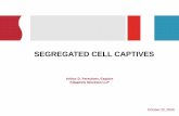 SEGREGATED CELL CAPTIVES · 2010-10-14 · 3. What is a Cell Captive • Cell captives provide a means to isolate specific risks within a single corporate entity • Exist in numerous
