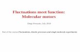 Fluctuations meet function: Molecular motors · A molecular machine is a device made of a single (complex) molecule, or a supramolecular complex, that transduces input energy into