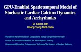 GPU-Enabled Spatiotemporal Model: Stochastic Cardiac Ca+ Dynamics … · 2013-08-23 · GPU-Enabled Spatiotemporal Model of Stochastic Cardiac Calcium Dynamics and Arrhythmias M.