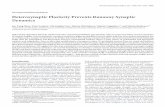 HeterosynapticPlasticityPreventsRunawaySynaptic Dynamics · the recording, and (3) stability of the onset latency and kinetics of the rising slope of the EPSP. EPSP amplitudes were
