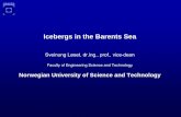 Icebergs in the Barents Sea - NTNUfolk.ntnu.no/sveinulo/at327/at327lectures/loset_barents_sea_iceberg… · Mean value: 0.25 m/s From 3 a.m. 5th November 1987 a pinnacled iceberg