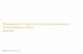 Perceptions of Opportunity and Empowerment in Sub-Saharan ... · Perceptions of Opportunity and Empowerment in Sub-Saharan Africa January 2011. ... Satisfaction with local education