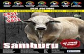 Samburu - boran.org.za · Samburu 1 August ON OFFER 1 AUGUST: • 15 SP Bulls • 40 SP Females • 60 Boran cross bred females FREE Transport for SP Cattle: • East London • Mossel