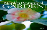 FALL 2017 - Naples Botanical Garden ... December: Tremendous Trees From shade to fruits to building