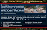 Marine Enlisted Commissioning Program (MECEP) · The MECEP is a commissioning program for specifically selected enlisted Marines leading to a baccalaureate degree and a commission
