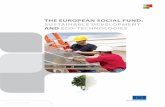 THE EUROPEAN SOCIAL FUND: SUSTAINABLE DEVELOPMENT …ec.europa.eu/employment_social/esf/docs/sf_sustainable... · 2010-12-13 · The information in this brochure is taken from a broader