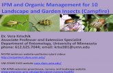 IPM and Organic Management for 10 Landscape …cues.cfans.umn.edu/2017 Updates CFANS Dec 28 2017/2017...beetles is rose, grape, Norway maple, and linden foliage. Adults feed on over