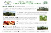 tree guide revisedfresnomls.net/wp/realgreentreeguideforweb.pdfan all-time favorite of many home gardeners. Early fruit harvest is firm-ripe and tangy. Later harvest is sweet with