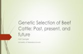 Genetic Selection of Beef Cattle: Past, present, and future · Genetic Selection of Beef Cattle: Past, present, and future Matt Spangler University of Nebraska-Lincoln. Phenotypic