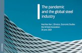 The pandemic and the global steel industry1225e59d-32e8-4229-ae4d... · The pandemic brings further setbacks to globalisation, with global supply chain disruptions and nationalistic