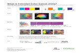What is ECGflairkorea.com/wp-content/uploads/2016/05/What-is-ECG.pdf · What is Extended Color Gamut 020816 Design Group Cyan Magenta Yellow Black Color gamut comparison Orange Green