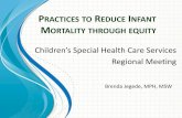 Children’s Special Health Care Services Regional Meetingorigin-sl.michigan.gov/documents/mdch/5_-_CSHCS_Regional_Mtg_P… · PRACTICES TO REDUCE INFANT MORTALITY THROUGH EQUITY
