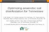 Optimizing anaerobic soil disinfestation for Tennessee · • Tomato and bell pepper • Soil temperatures 15 to 24 C • ASD C rates 1.0 to 4.2 mg C g-1 soil •C-source treatments