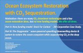 Ocean Ecosystem Restoration with CO2 Sequestration. · Market Cap 2020 (trillions) Listed Companies NYSE $25.6 2,400 NASDAQ $11.2 3,300 Tokyo $5.1 2,300 Shanghai $4.7 1,000 Hong Kong