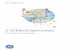80-6429-60AC 2D HB · Handbook 18-1157-58 2-D Electrophoresis using immobilized pH gradients ... Ion Exchange Chromatography & Chromatofocusing Principles and Methods 11-0004-21 Affinity