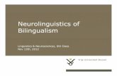 Neurolinguistics of Bilingualismhomepages.vub.ac.be/~estruys/Neurolinguistics of Bilingualism.pdf · 27-11-2012 3Pag. Neurolinguistics of bilingualism Further planning-22/11: WOT