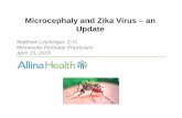 Microcephaly and Zika Virus – an Update · 2016-04-14 · Microcephaly and Zika Virus – an Update Matthew Loichinger, D.O. Minnesota Perinatal Physicians April 15, 2016. Case
