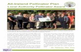 All Ireland Pollinator Plan · the Pollinator award, and an interesting picture was starting to emerge. Not only do TidyTowns groups who enter the special award have an opportunity