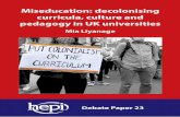 Miseducation: decolonising curricula, culture and pedagogy ... · Black Lives Matter movement. Despite its newfound ubiquity, however, there is still substantial disagreement and