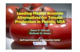 Leading Methyl Bromide Alternatives for Tomato …...Leading Methyl Bromide Alternatives for Tomato Production in Florida, USA James P. Gilreath Bielinski M. Santos Gulf Coast Research