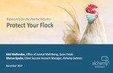 Biosecurity for the Poultry Industry: Protect Your Flock · Biosecurity for the Poultry Industry: Protect Your Flock ... –Domestic flocks –Ponds or pools with excessive bird populations