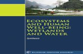 AND WATER WETLANDS WELL-BEING: AND HUMAN Ecosystems · Summary for Decision-makers 1 Wetlands and Water: Ecosystems and Human Well-being 17 1. Introduction 17 2. Distribution of Wetlands